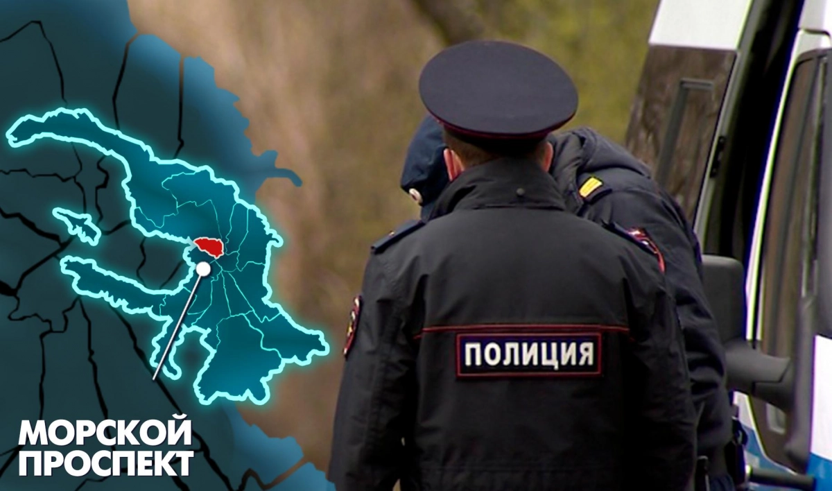 В Петербурге задержали троих насильников 16-летней девочки - tvspb.ru
