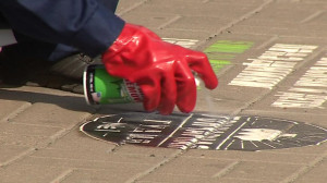 «Неделя чистоты» в Петербурге. Репортаж