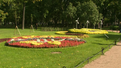 В Петербурге подвели итоги «Фестиваля цветов»