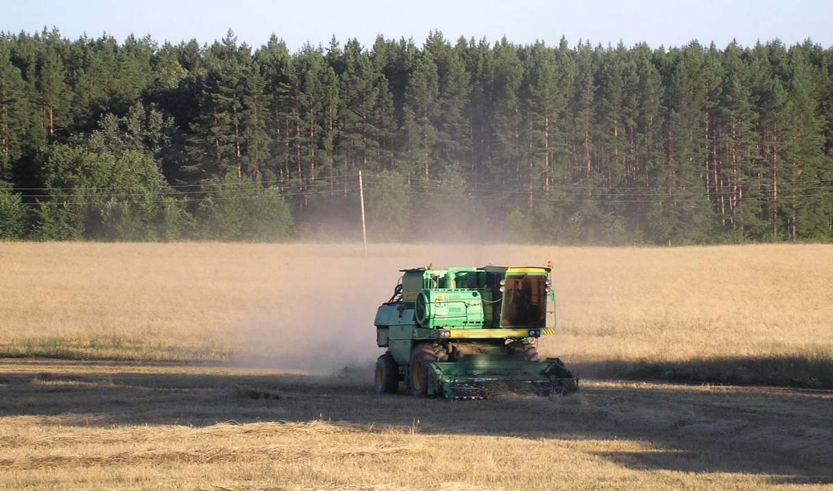 Омельянов день и Всемирный день рейнджеров. Что отмечают 31 июля - tvspb.ru