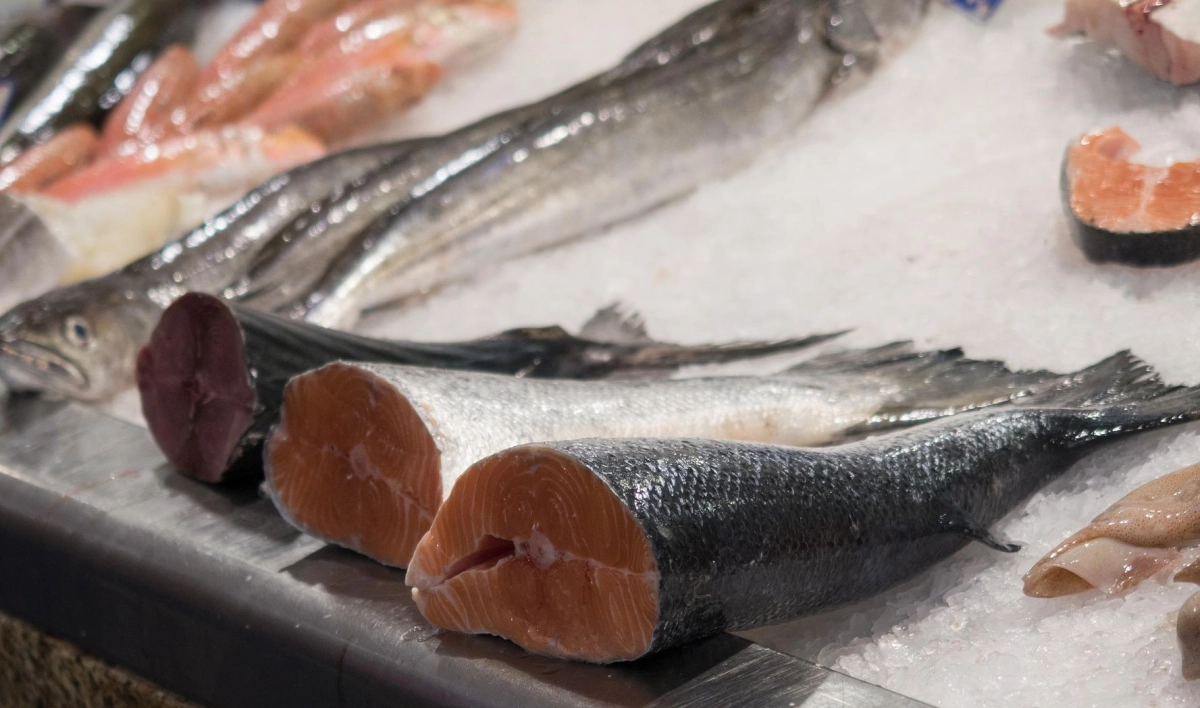 Почти 60 тысяч тонн лосося за год прошли ветеринарный контроль в Петербурге - tvspb.ru