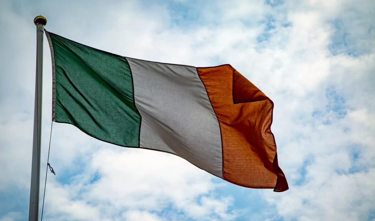 Посла Ирландии вызвали в МИД России в связи с инцидентом в Дублине - tvspb.ru