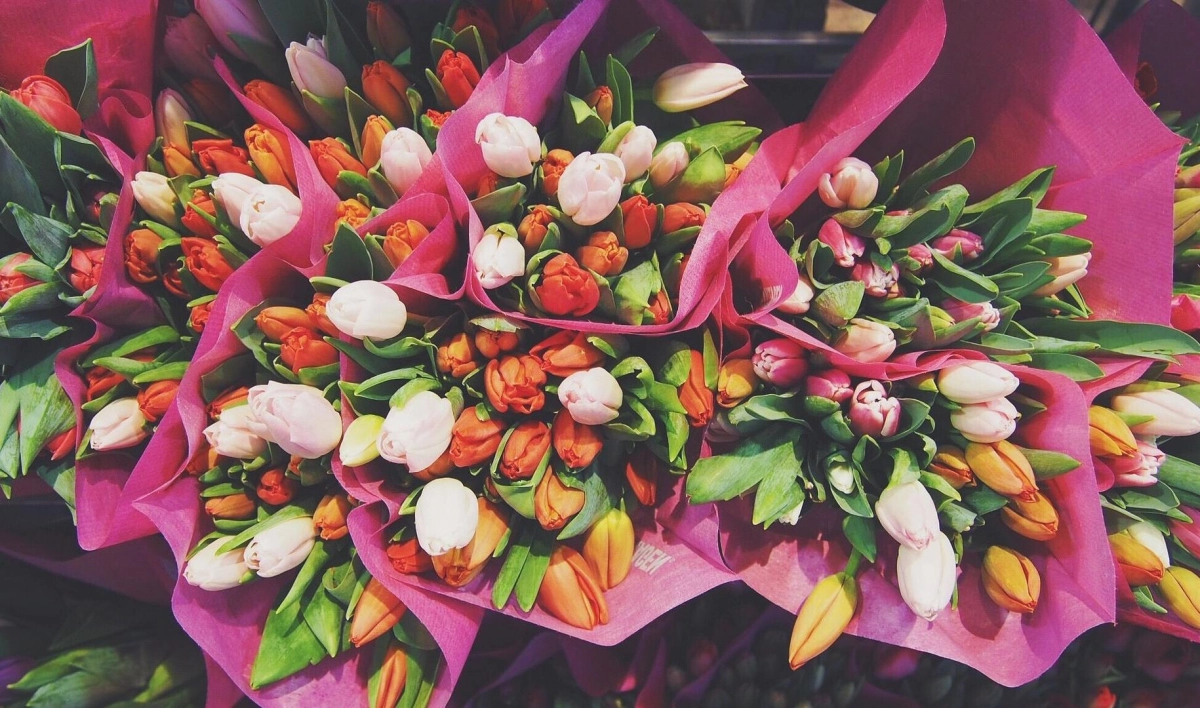 В Ленобласти к 8 марта вырастили два миллиона роз и тюльпанов - tvspb.ru