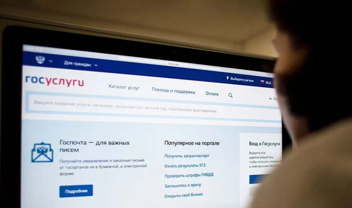 Портал госуслуг временно перестал работать за границей - tvspb.ru