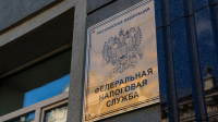 Налоговая заблокировала счета покупательницы квартиры Долиной
