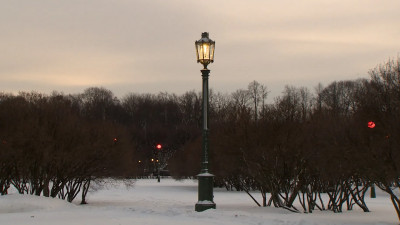 Художника, задержанного за осквернение Марсова поля, отпустили под обязательство о явке