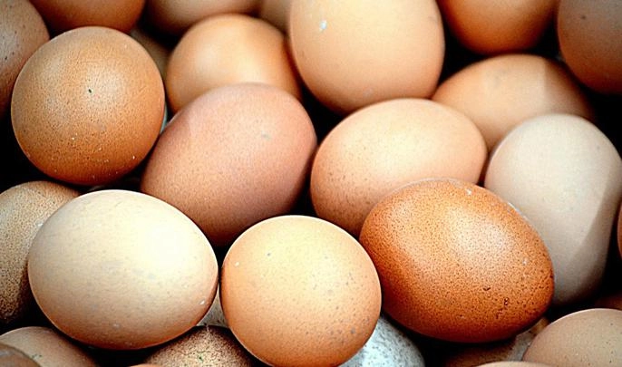 Россельхознадзор предотвратил ввоз в Россию больше 21 тысячи куриных яиц с истекшим сроком годности - tvspb.ru