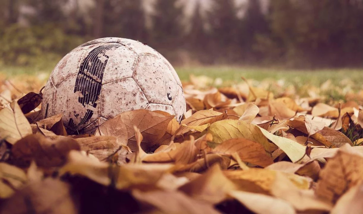 В сентябре Петербург примет всероссийские спортивные соревнования - tvspb.ru