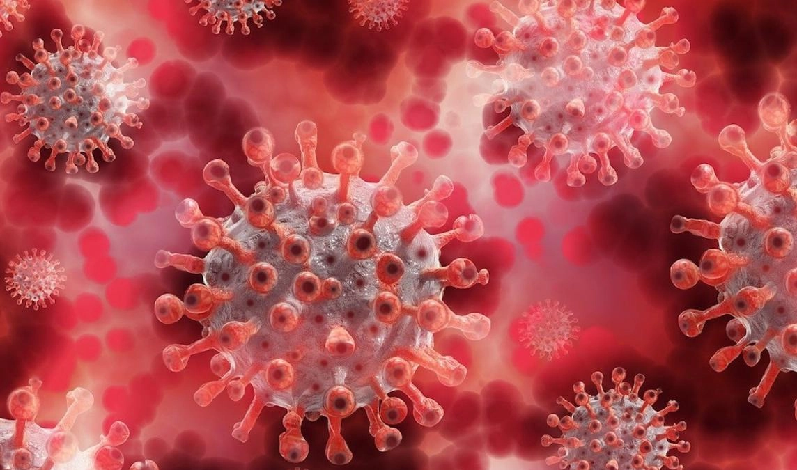 В Нью-Йорке нашли новую форму коронавируса, снижающую эффективность вакцин - tvspb.ru