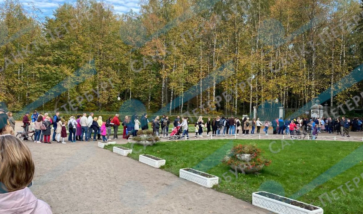 У входа в Павловский парк собралась огромная очередь - tvspb.ru