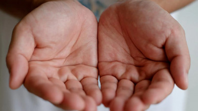 Петербург оказался в лидерах среди городов по количеству пожертвований