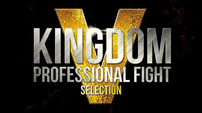 В Петербурге пройдет юбилейный турнир по смешанным единоборствам лиги Kingdom Professional Fight