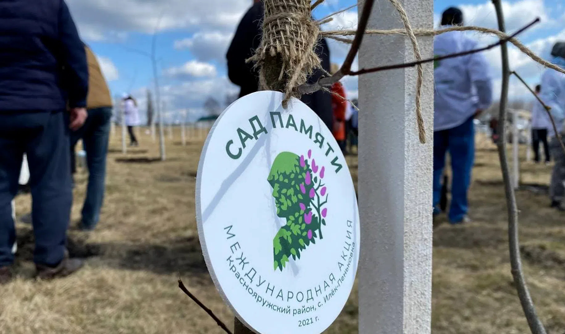Сад памяти прошел. Сад памяти. Акция сад памяти. Акция сад памяти 2021. Сад памяти табличка.