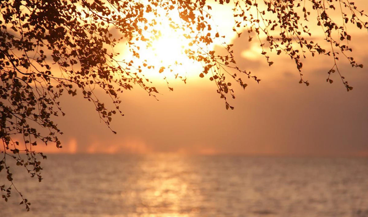 День памяти святой Параскевы и Всемирный день молодежи. Что отмечают 10 ноября - tvspb.ru