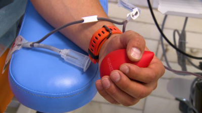 16 сентября в Петербурге пройдут мероприятия в преддверии Всемирного дня донора крови