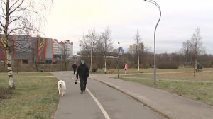 Куйбышевский районный суд признал незаконной застройку Муринского парка