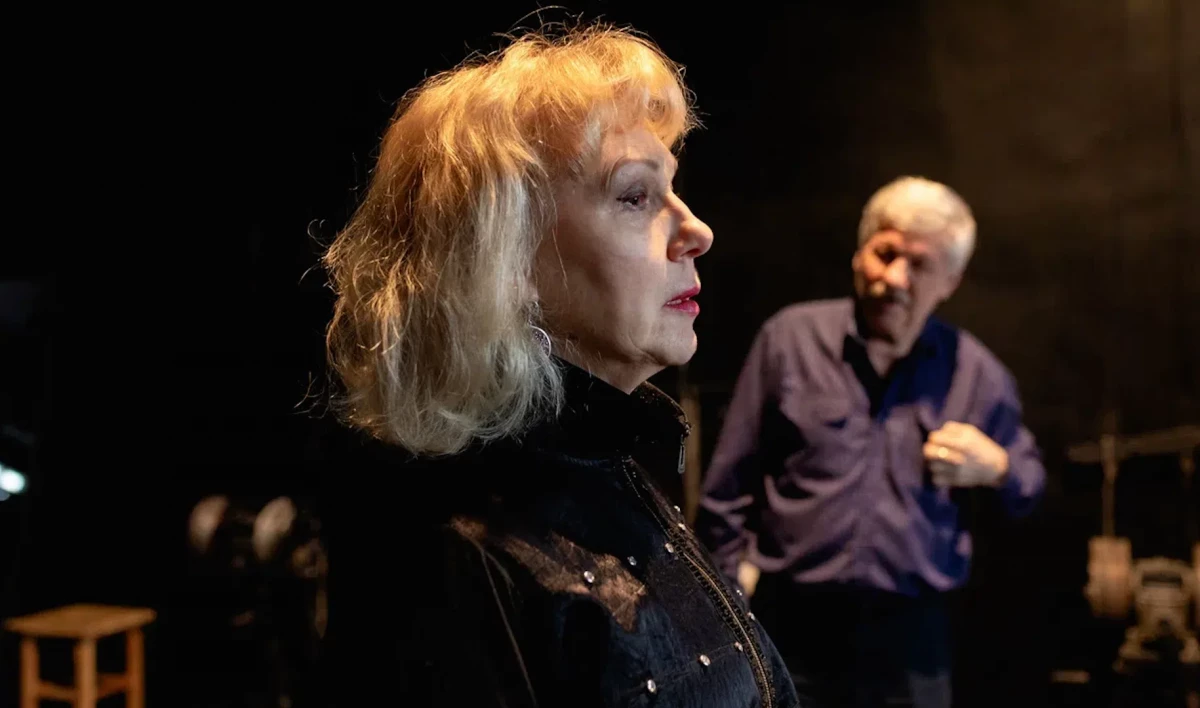 На большой сцене «Театра на Васильевском» пройдет премьера спектакля «Земля Эльзы» - tvspb.ru