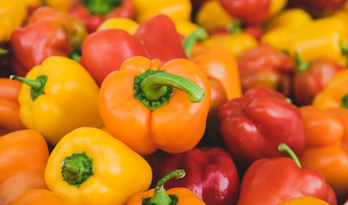 В Россию разрешили ввозить овощи из девяти стран - tvspb.ru