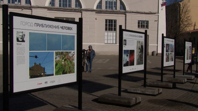 Петербуржцы смогут увидеть город глазами подопечных «Ночлежки» на выставке у «Манежа»