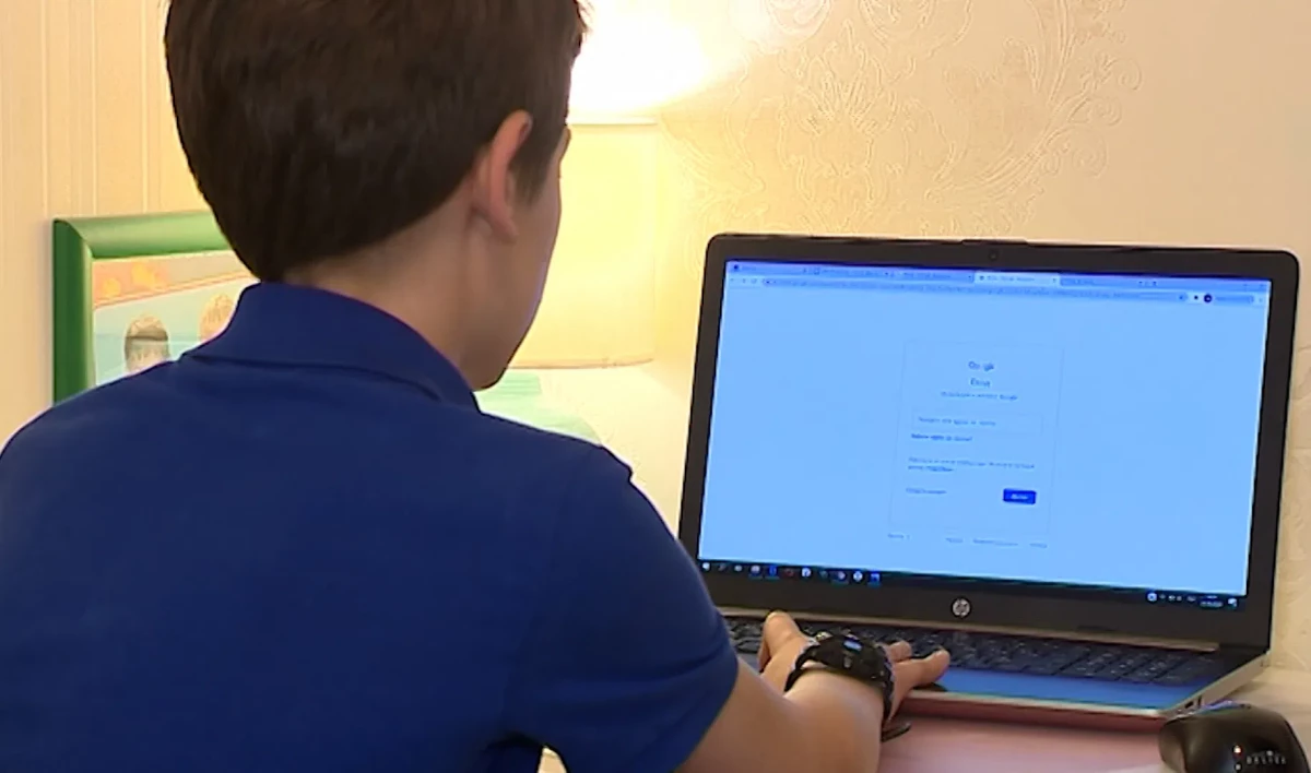 В Петербурге на дистанционном обучении находятся 30 классов - tvspb.ru