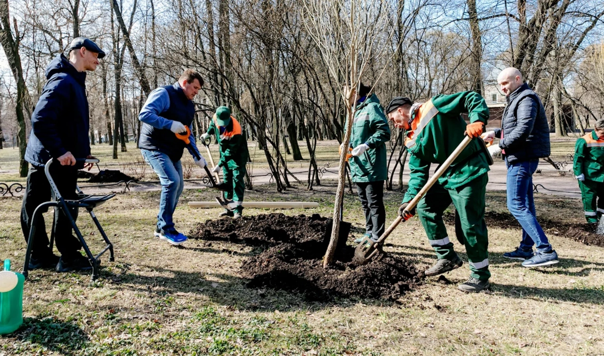 В Таврическом саду петербуржцы высадили 250 кустарников и 5 деревьев - tvspb.ru
