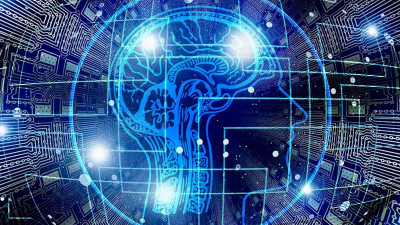 В Петербурге будут готовить специалистов по созданию нейроинтерфейсов