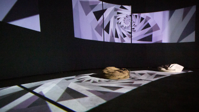 Культурно-образовательный фестиваль MULTIMEDIA-FEST стартует в Петербурге 13 мая