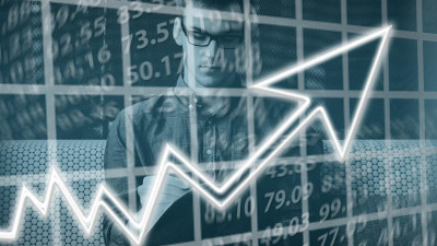 В России на 12% выросли заработки фрилансеров