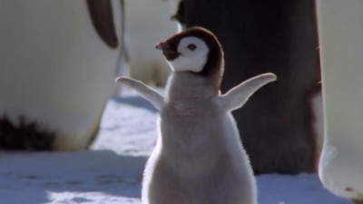 На станции «Восток» модернизируют зимовочный комплекс для полярников