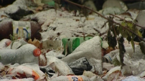 В этом году в Петербурге выявили более 60 несанкционированных мусорных свалок