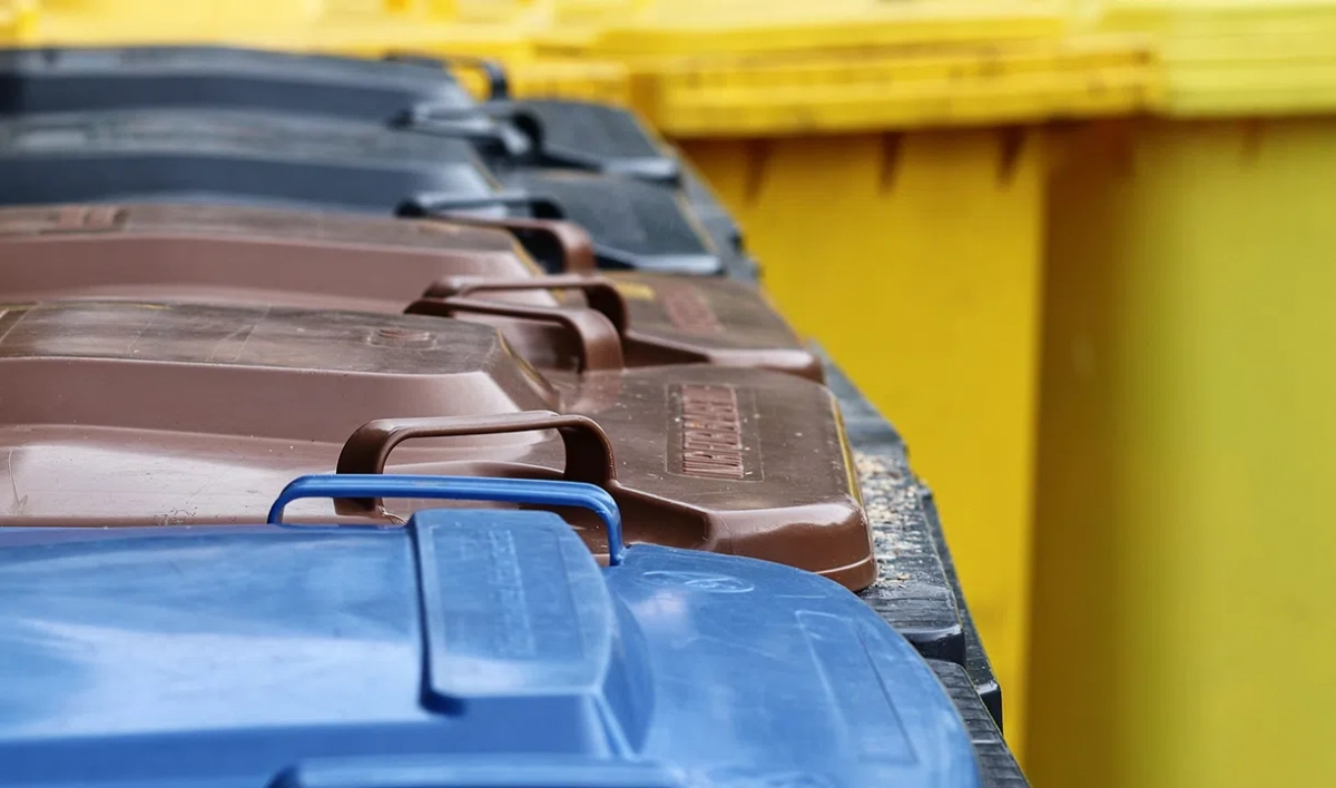 Региональный оператор задействовал все ресурсы для оперативного вывоза мусора в Петербурге - tvspb.ru