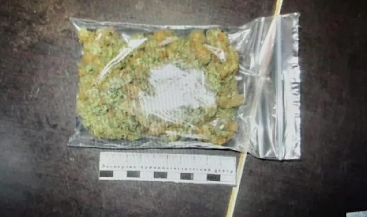 В квартире на Главной улице подрались двое мужчин, на месте полиция нашла наркотики - tvspb.ru