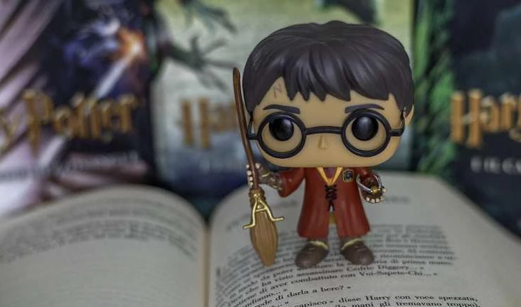 Россияне предложили ввести в программу по литературе «Гарри Поттера» - tvspb.ru