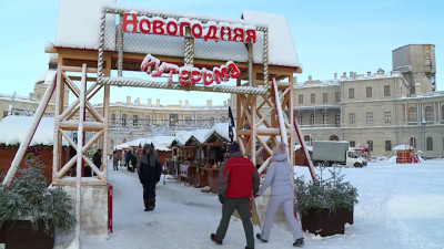 Катание на оленях и новогодние лакомства: Что подготовил для гостей Гатчинский дворец