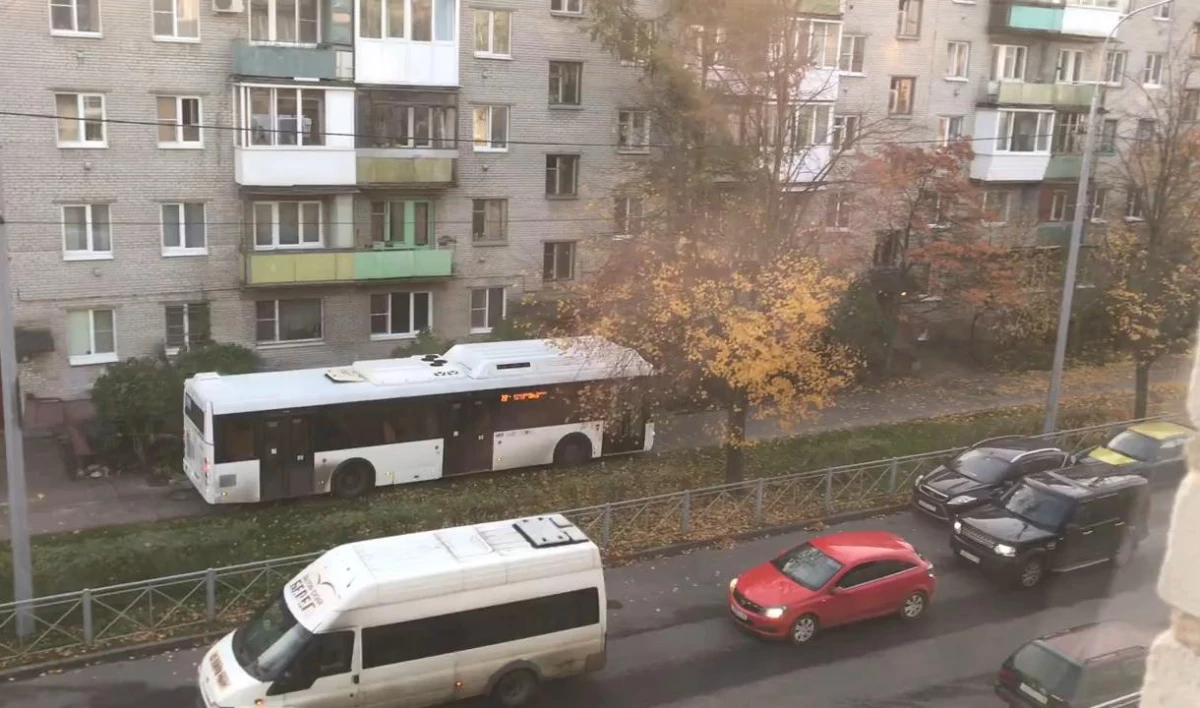 Водителя автобуса, который проехал по тротуару в Ломоносове, оштрафовали - tvspb.ru