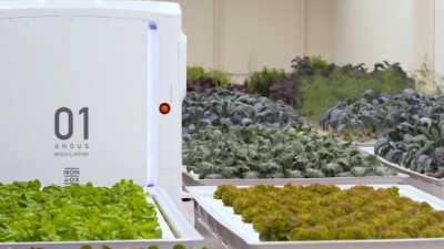В США начали продавать овощи и зелень, выращенные роботами
