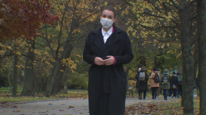 Губернаторский контроль. Масочный режим