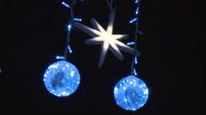 Губернаторский контроль. Подготовка к Новому году