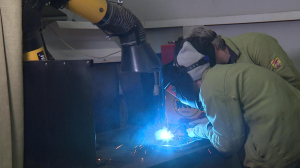 Губернаторский контроль. Трудоустройство во время эпидемии