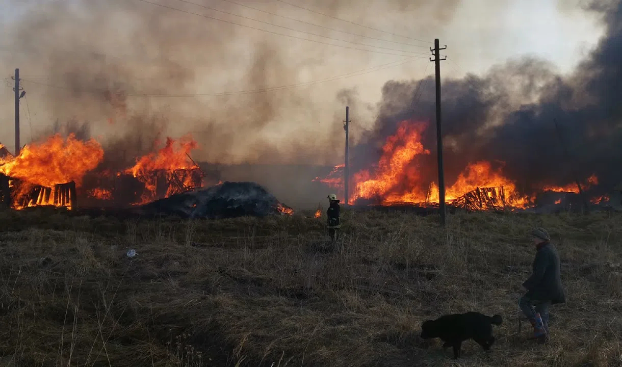 В поселке Аннино огонь уничтожил более 10 домов и хозяйственных построек |  Телеканал Санкт-Петербург