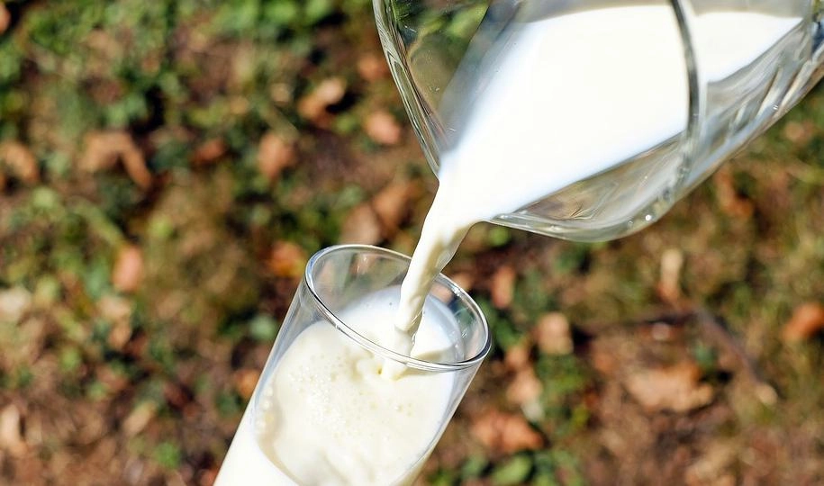 Ткачев предложил белорусам искать новые рынки сбыта молока - tvspb.ru
