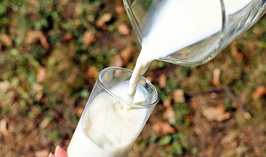 Россельхознадзор опроверг информацию о росте цен на молочные продукты - tvspb.ru