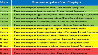 Работа глав Приморского, Курортного и Фрунзенского районов признана самой эффективной в Петербурге