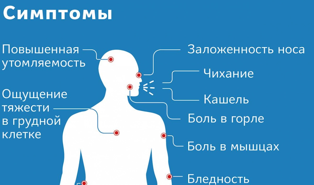 На сайте Минздрава появился раздел, посвященный коронавирусу - tvspb.ru