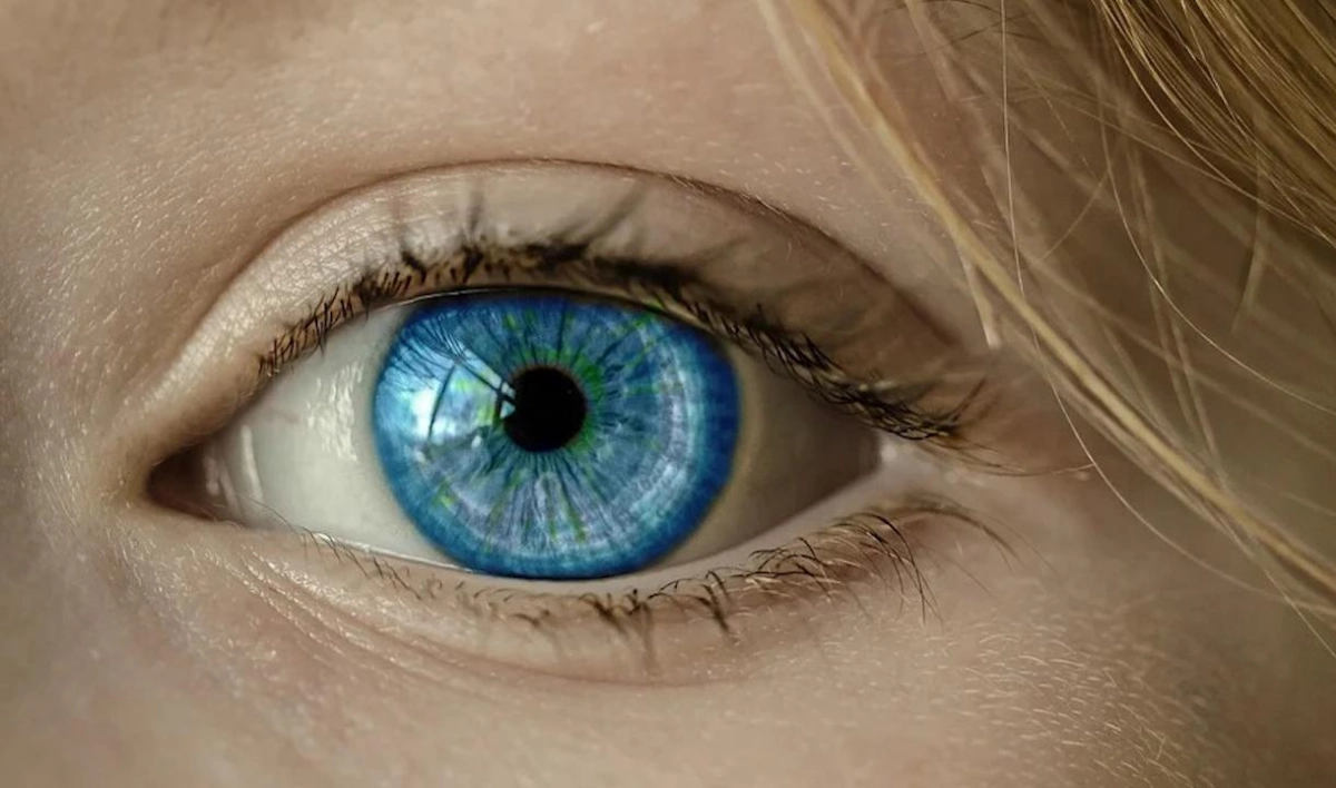 Ученые разработали роботизированный глаз, который один в один похож на человеческий - tvspb.ru