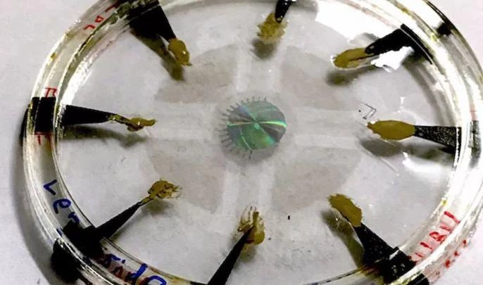 Ученые из Гарварда создали искусственный глаз - tvspb.ru