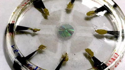 Ученые из Гарварда создали искусственный глаз