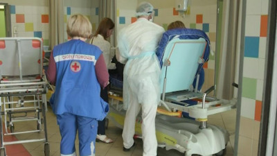 На прошлой неделе в Петербурге ежедневно госпитализировали меньше 200 человек с COVID-19