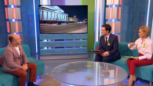 Лисы в городе. Что вынуждает рыжих хищников выходить к людям и стоит ли их подкармливать?