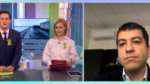 Мы в ответе за тех, кого приручили. В России работает «горячая линия» по защите животных